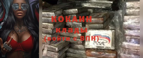 СК Куйбышев
