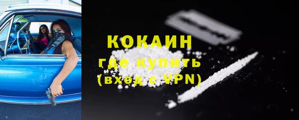 твердый Кулебаки