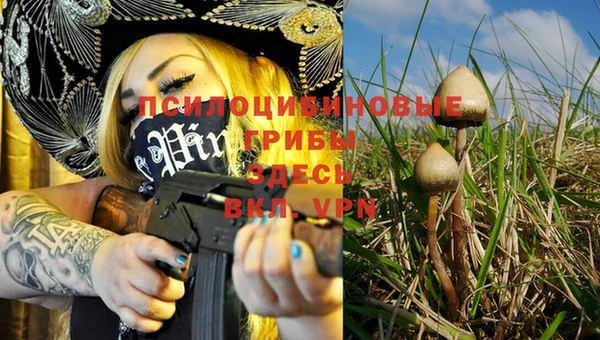 твердый Кулебаки