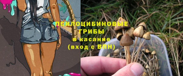 мет Кукмор