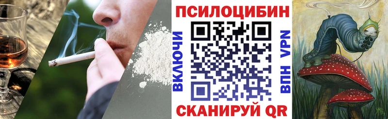 Псилоцибиновые грибы GOLDEN TEACHER  Купить  Кола 
